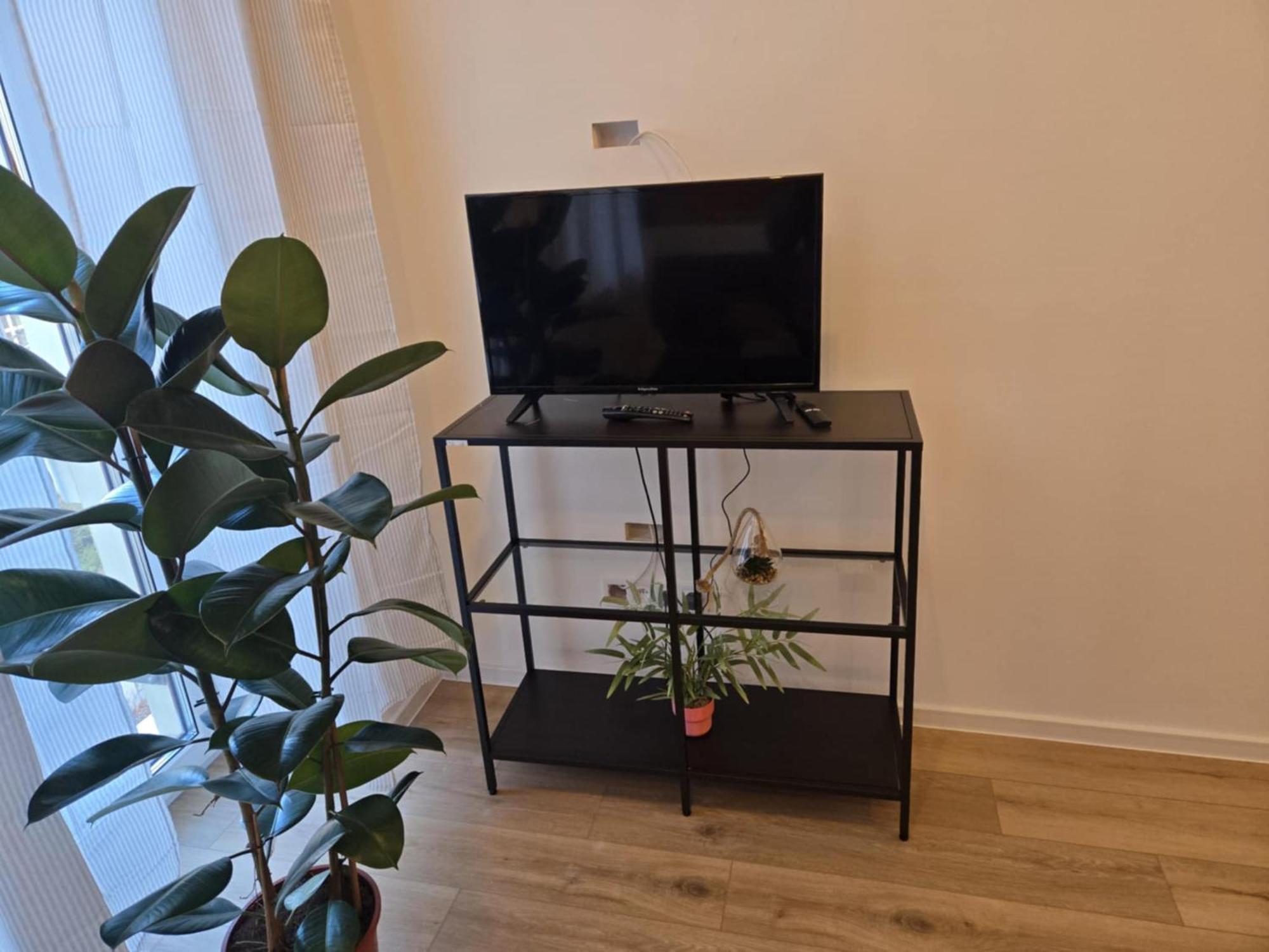 Hola Rewolucji 1905r Apartment Lodz (Lodz)